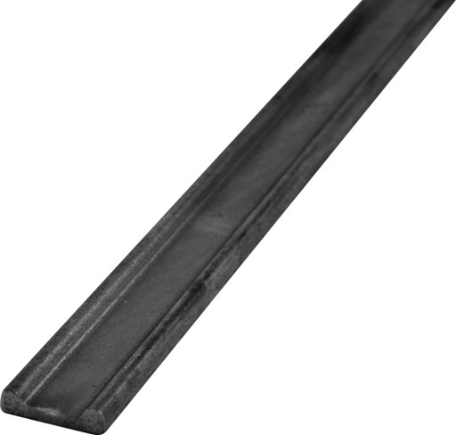 PŁASKOWNIK DWUGARBNY