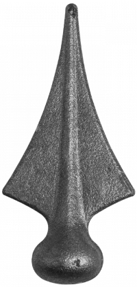 PŁASKOWNIK KARBOWANY