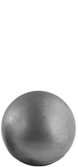 PŁASKOWNIK DWUGARBNY